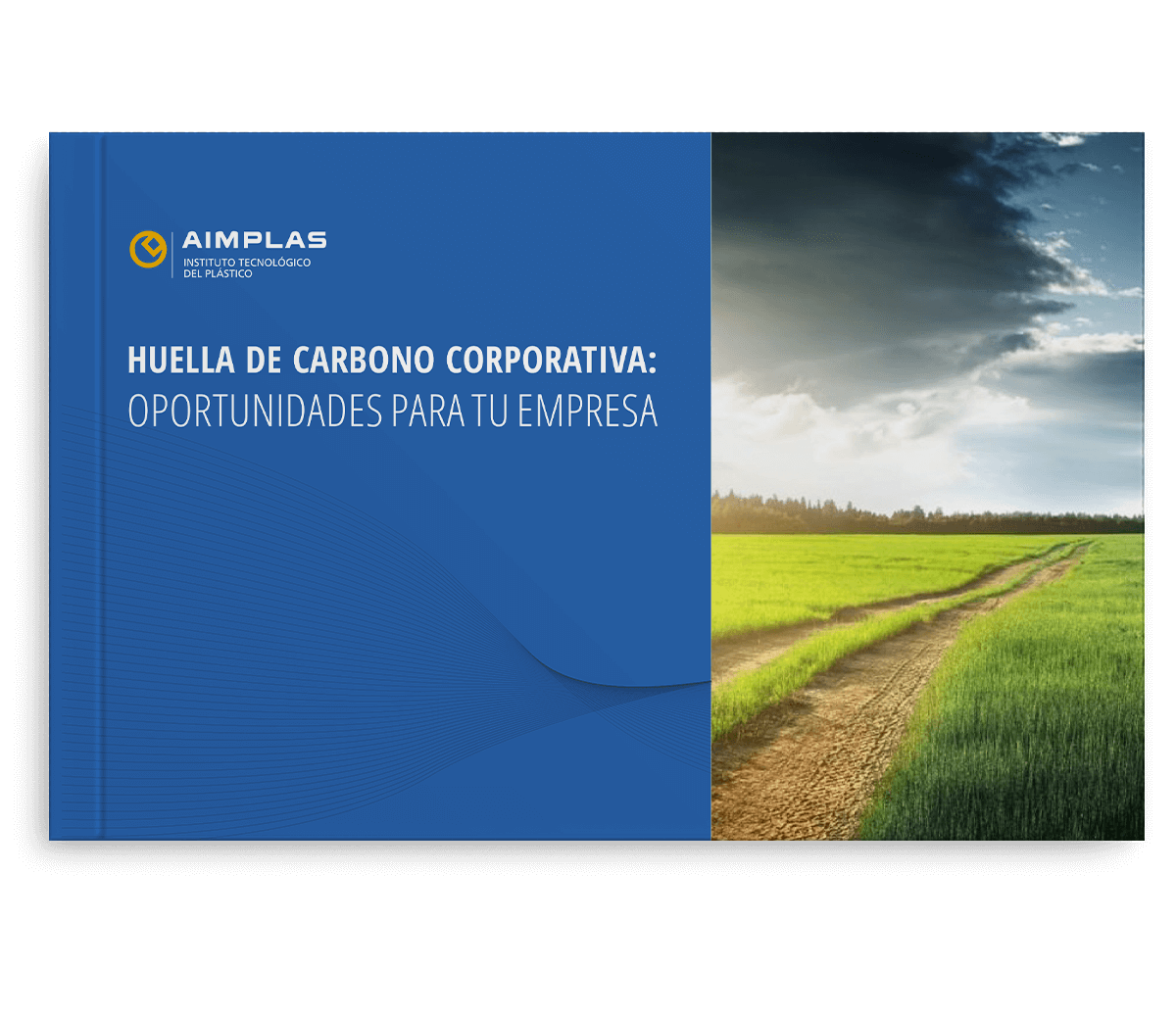Huella de carbono corporativa: oportunidades para tu empresa